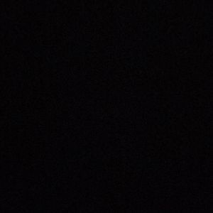 Meet your Posher, Cesar